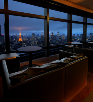 	夜景レストラン予約バー＆ラウンジ マジェスティック｜汐留＜飲み放題予約＞